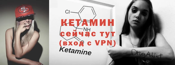 гидра Липки
