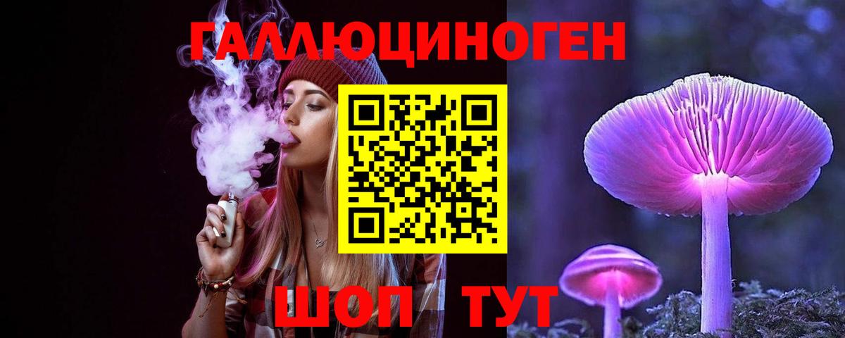 Брянск  как найти наркотики  Вход с VPN  Псилоцибиновые грибы мухоморы  Псилоцибиновые грибы GOLDEN TEACHER 